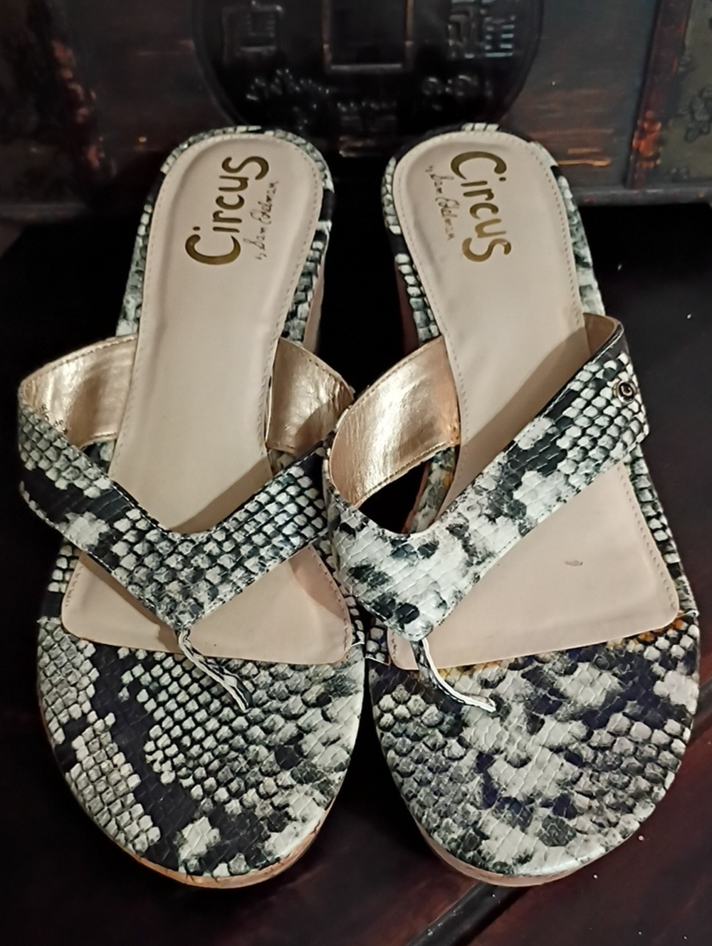Circus by Sam Edelman Snake-Print Slide Sandals - Black & White